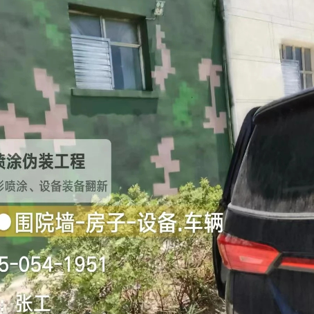 保定数码迷彩漆施工